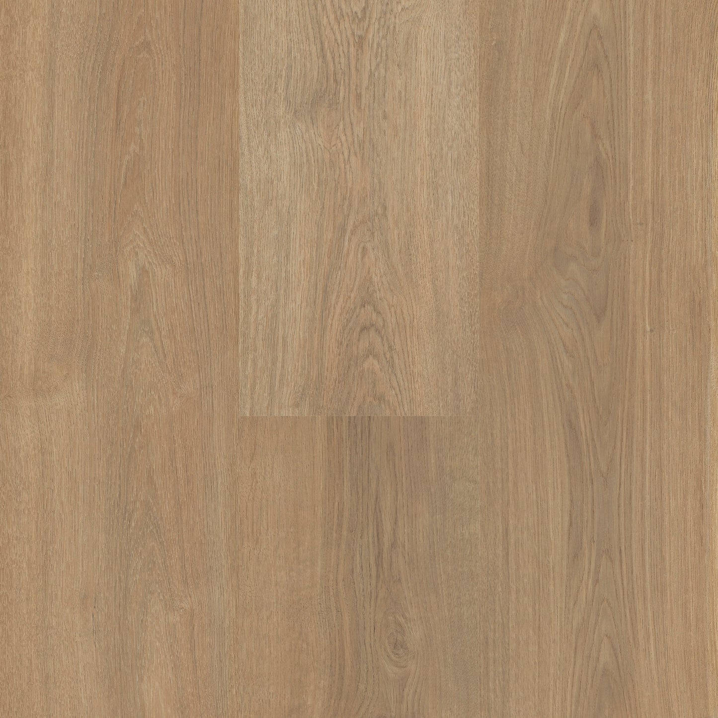 Ridge Oak