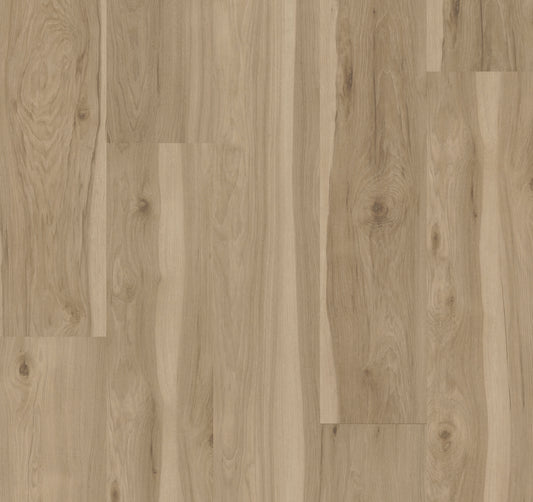 Hickory Blanca