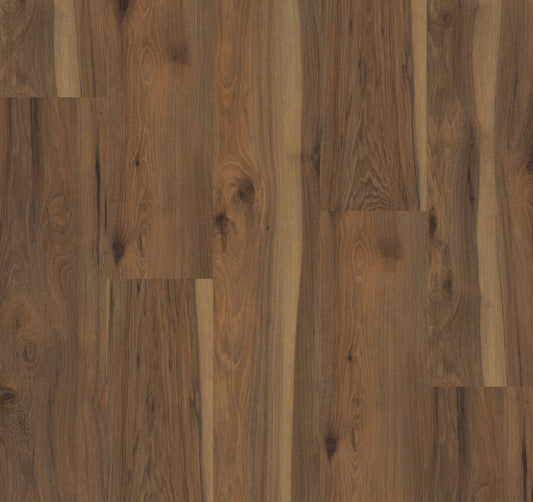 Pecan Hickory